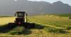 ActionAid warns agriculture underfunding threatens Nigeria food security ambitions
