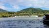 Record low water levels halt Danube shipping