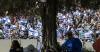 The key issues that will shape Israel's elections