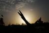 Iran says it is developing ‘father of all bombs’ as missile arsenal expands