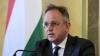 Bribery Investigation: Ex-Budapest District Mayor Detained