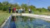 FAO training aims to improve fish disease monitoring in Georgia