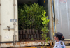 Agricultural exports through Phu Keua international checkpoint hit over US$23m in June