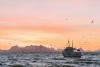 Photovoltaics for onboard fish preservation