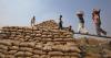 Food corporation sold rice to ethanol plants at lower price than it paid for the grain: Centre