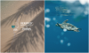 .Here Baa Atoll earns Forbes Travel Guide VERIFIED™ Responsible Hospitality recognition