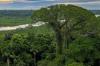 Ecuador establishes Yasuní-Limoncocha-Cuyabeno corridor, 173,000 hectares to protect Amazonian biodiversity