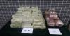 Hong Kong Customs Seizes About 225,000 Suspected Smuggled Electronic Chips at Shenzhen Bay Control Point