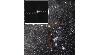 Dutch astronomer helps find partner star around Betelgeuse after “century” of searching