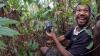 Heartwarming moment camera trap researchers rediscover a "mythical" bird lost to science for over 140 years goes viral