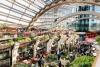 London’s Olympia has been under renovation for years. Now we can step inside