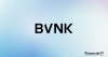 Stablecoin Wallets Are Becoming a Parallel Global Dollar Banking Layer for Businesses, New BVNK Data Shows
