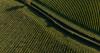 WineGB chief calls for targeted support to help UK wine sector realise growth potential
