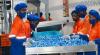 Manufacturing, tradeGDP decline—report