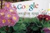 AIP rocked by governance crisis, favouritism allegations over R114m Google-backed fund