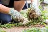 Gardening is a dose of reality