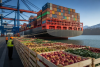 Azerbaijan's food exports to Georgia surge across key products