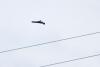 Russia and Ukraine trade deadly strikes with hundreds of drone attacks