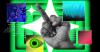 Artists are lawyering up against AI slop, and some are even winning