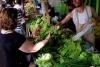 Public Health Experts Say the Record Cyclospora Outbreak Exposed a Communications Failure, Not an Investigative One
