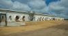 SHIC, FFAR fund six projects to advance swine disease preparation