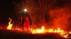 UN sounds alarm over climate crisis as Europe battles record wildfires
