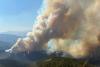 Canada’s worst wildfire season fuels calls for national agency to tackle threat