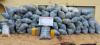 NDLEA uncovers  four-bedroom cannabis warehouse in Edo‎