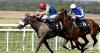 Flora Of Bermuda finds seven furlongs to her liking
