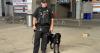 Oregon State University welcomes new bomb-sniffing dog to police force
