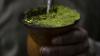 Behind yerba mate craze, farmers bemoan Milei’s austerity