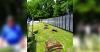 Veterans Coalition reflects on Traveling Vietnam Memorial Wall visit to Middle Tennessee