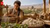 Scientists discover ancient silk production in Uzbekistan nearly 2,000 years before the Silk Road
