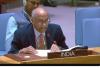 Hormuz crisis must not divert world’s attention from Gaza humanitarian crisis: India at UN