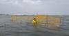 Reservoir for Chennai could dry up ecologically-rich coastal wetland