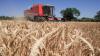 Drought declared across England’s key farming regions