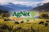California Cattlemen President Warns of Growing Challenge Keeping Ranches in the Family