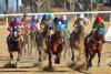 Chicagoland Horse Racing Track to Close After 135 Years