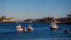 NOAA report warns Gulf of Maine ecosystem is growing more unstable