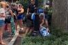 Deer wanders into Pennsylvania's Hersheypark