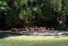 Dominican Republic’s zoo offers home for confiscated animals as seizures of exotic species soar