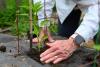 A Laudato Si’ Movement for New Jersey