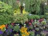 GARDENING: Finding inspiration in local public gardens