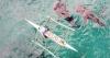 Domestic travel lifts Cebu tourism despite dip in foreign visitors