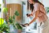 From hydrogen peroxide to ice cubes: Four plant health myths on social media