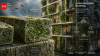 Swiss scientists have created a living building material that grows stronger by pulling carbon dioxide from the air