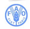 El Niño threatens agric production