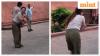 Bitten by monkey at Taj Mahal, taken to hospital by e-rickshaw: South Korean tourist's ordeal | Watch