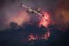 Europe Is on Track for Its Worst Wildfire Season Ever, Satellite Data Show