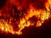 Senate Rejects Canada Wildfire Sanctions as Scientists Point to Climate, Not Ottawa